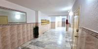 Sale - Apartment - Torrevieja - Playa del Cura