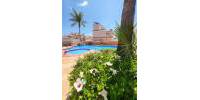 Sale - Villa - Torrevieja - Costa Blanca