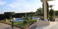 Sale - Villa - Mil Palmeras - Costa Blanca