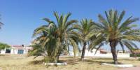 Sale - Bungalow - Torrevieja - Torretas