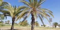 Sale - Bungalow - Torrevieja - Torretas