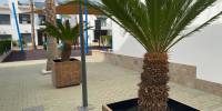 Sale - Apartment - Pilar / Torre de la Horadada - Costa Blanca