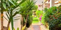 Sale - Apartment - Playa Flamenca - Costa Blanca