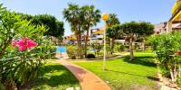 Sale - Apartment - Playa Flamenca - Costa Blanca