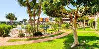 Sale - Apartment - Playa Flamenca - Costa Blanca