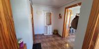 Sale - Penthouse - Torrevieja - Playa de los Locos