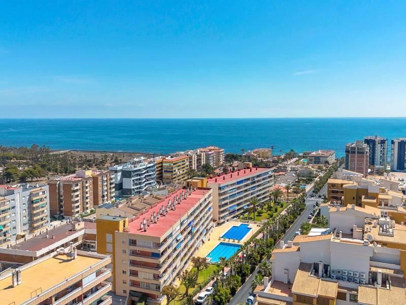 Apartment - Sale - Torrevieja - Costa Blanca