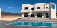 New Build - Villa - Pinoso - Camino Del Prado