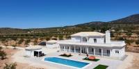 New Build - Villa - Pinoso - Camino Del Prado