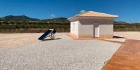 New Build - Villa - Pinoso - Camino Del Prado