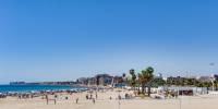 Sale - Studio - Torrevieja - Acequion