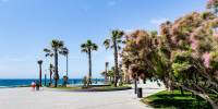 Sale - Apartment - Torrevieja - Playa de los Locos