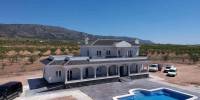 New Build - Villa - Pinoso - Camino Del Prado