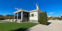 New Build - Villa - Pinoso - Camino Del Prado