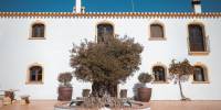 Sale - Country House - Lorca - Costa Calida