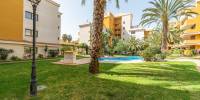 Venta - Apartamento - Torrevieja - Punta Prima