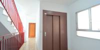 Sale - Flat / Apartment - Pilar / Torre de la Horadada - Torre de la Horadada