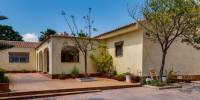 Sale - Villa - Los Montesinos - Montesinos  Los