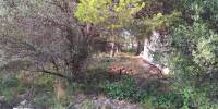 Venta -  - Denia - Santa Lucia