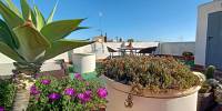 Sale - Apartment - Guardamar del Segura - Costa Blanca