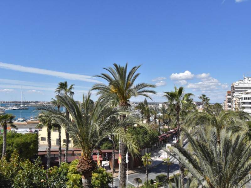 Apartment - Sale - Torrevieja - Costa Blanca