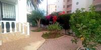 Sale - Duplex - Torrevieja - Calas blanca