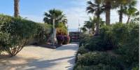 Sale - Apartment - Punta Prima - Costa Blanca