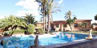 Sale - Villa - Torrevieja - Costa Blanca