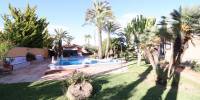 Sale - Villa - Torrevieja - Costa Blanca