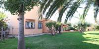 Sale - Villa - Torrevieja - Costa Blanca