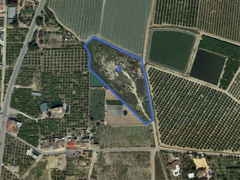 Land - Sale - Los Montesinos - Costa Blanca